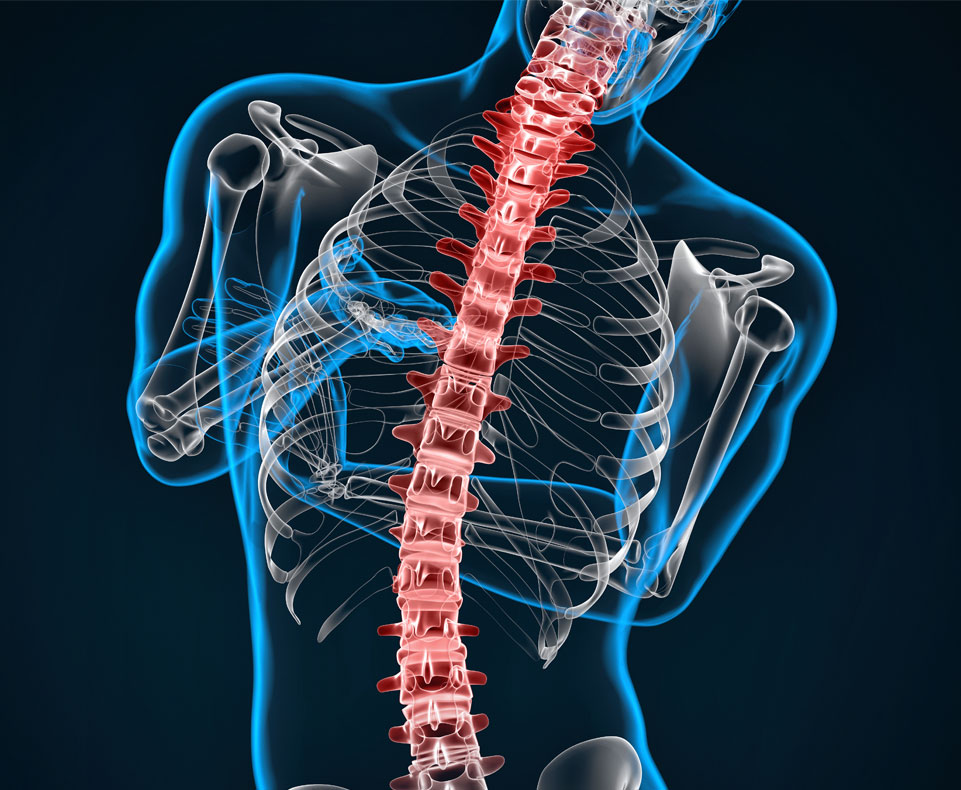 spine surgery florida